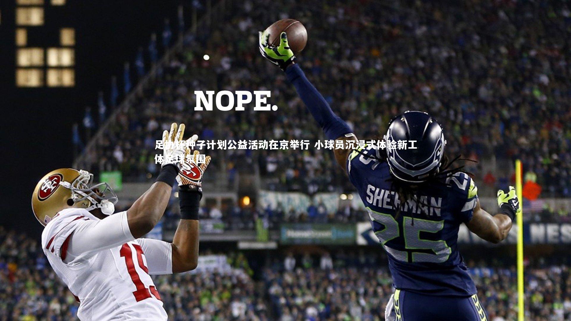 芒果体育平台|足协杯种子计划公益活动在京举行 小球员沉浸式体验新工体足球氛围-第2张图片-芒果体育 (Mango Sports) 官方平台 